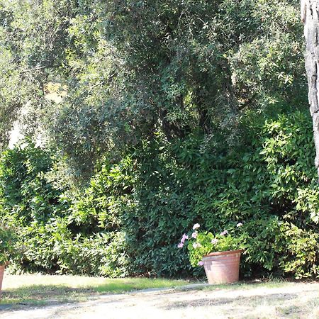 Villetta La Pineta Latignano エクステリア 写真