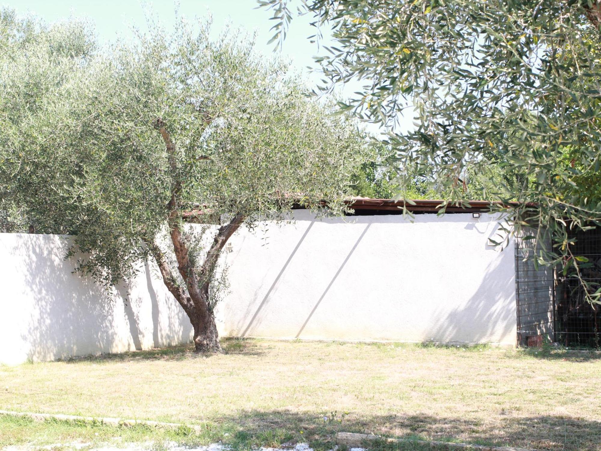 Villetta La Pineta Latignano エクステリア 写真