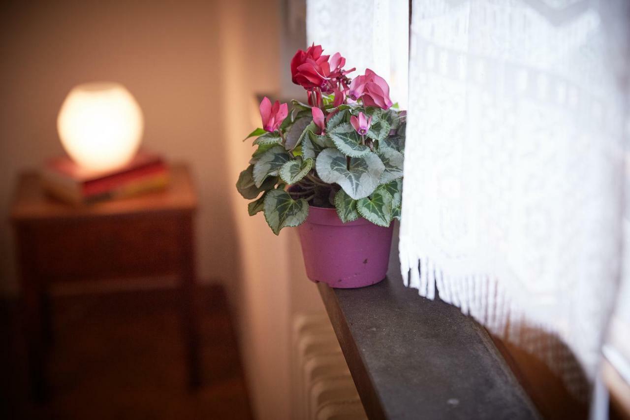 Villetta La Pineta Latignano エクステリア 写真